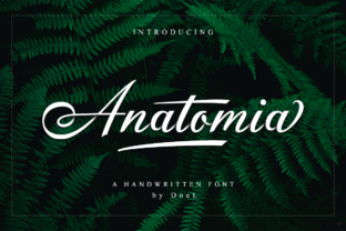 Anatomia Script: Where Elegance Meets Modernity