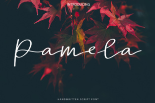 Pamela Script: The Handwritten Font for Upscale Branding