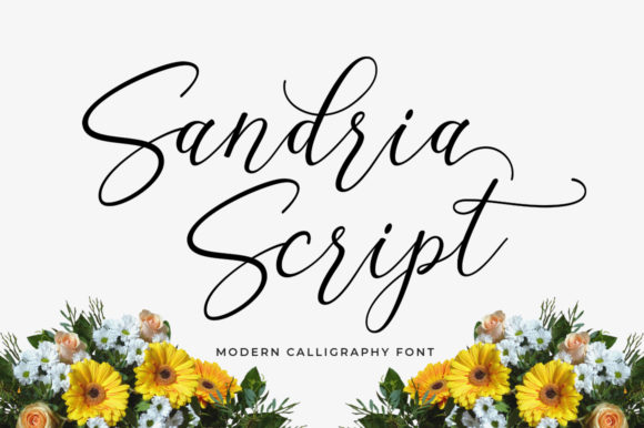 Sandria Script: The Elegant Font for Feminine Branding